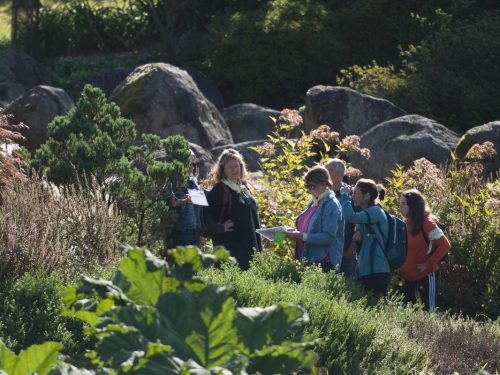 team building QVT & RSE équipe atelier environnement balise