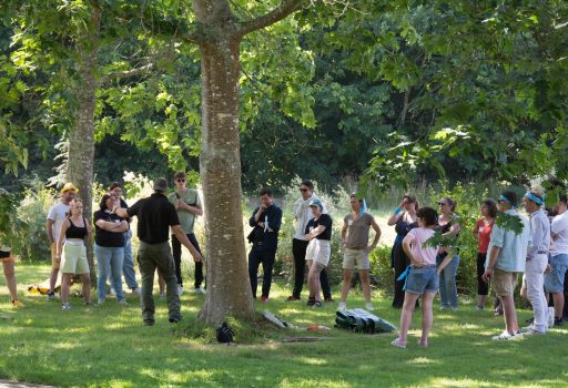 Activité de bien-être au travail en extérieur, avec des participants concentrés et détendus en Bretagne.
